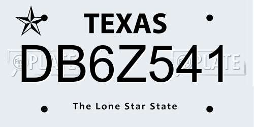 DB6Z541 Texas License Plate