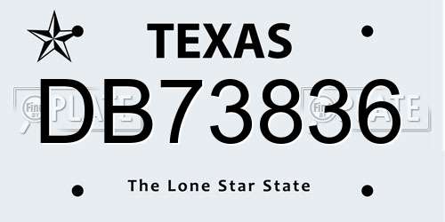 DB73836 Texas License Plate