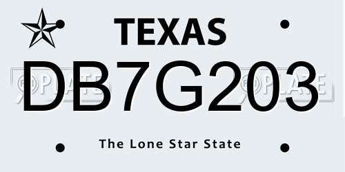 DB7G203 Texas License Plate