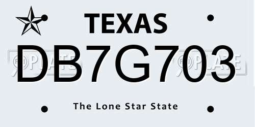 DB7G703 Texas License Plate