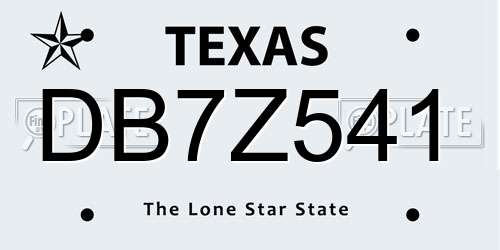 DB7Z541 Texas License Plate