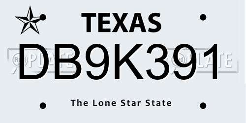 DB9K391 Texas License Plate