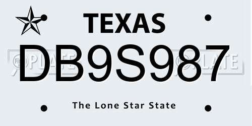 DB9S987 Texas License Plate