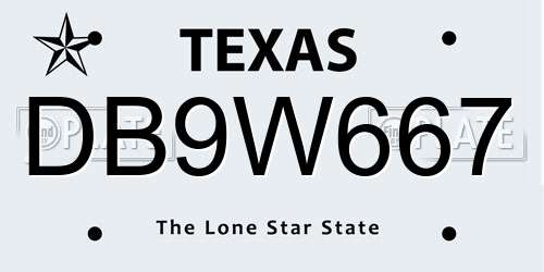 DB9W667 Texas License Plate