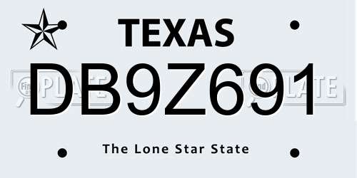 DB9Z691 Texas License Plate