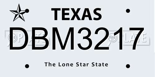 DBM3217 Texas License Plate