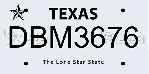 DBM3676 Texas License Plate