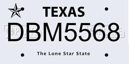 DBM5568 Texas License Plate