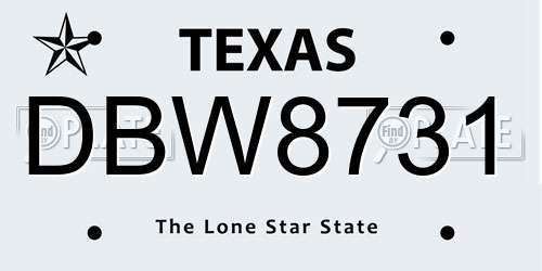 DBW8731 Texas License Plate