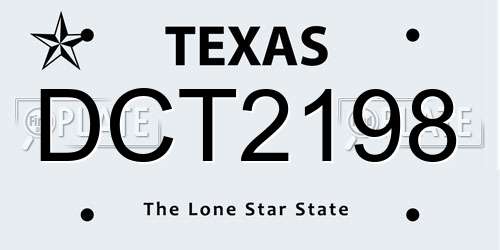 DCT2198 Texas License Plate