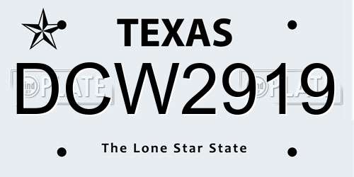 DCW2919 Texas License Plate