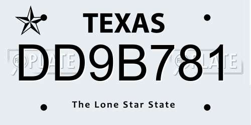DD9B781 Texas License Plate