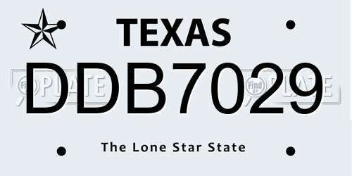 DDB7029 Texas License Plate