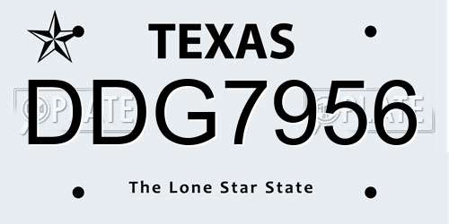 DDG7956 Texas License Plate