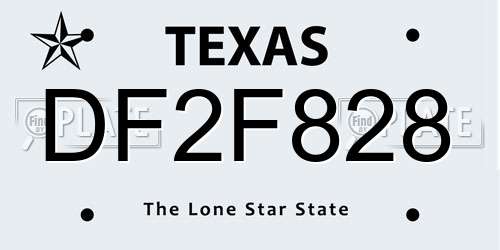DF2F828 Texas License Plate