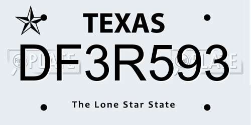 DF3R593 Texas License Plate