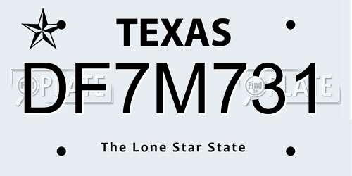 DF7M731 Texas License Plate