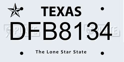 DFB8134 Texas License Plate
