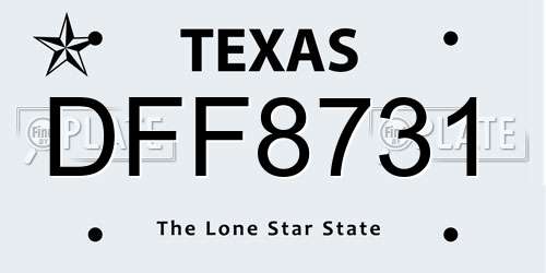 DFF8731 Texas License Plate