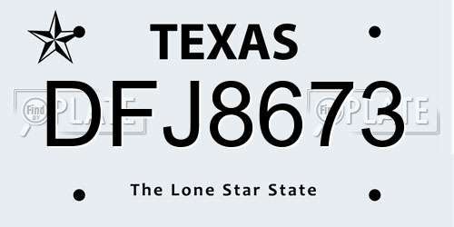 DFJ8673 Texas License Plate