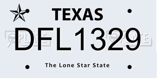 DFL1329 Texas License Plate