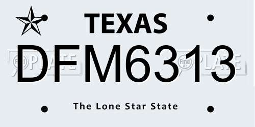 DFM6313 Texas License Plate