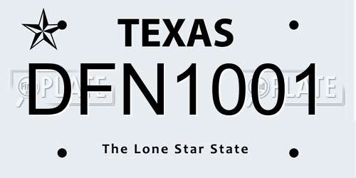 DFN1001 Texas License Plate
