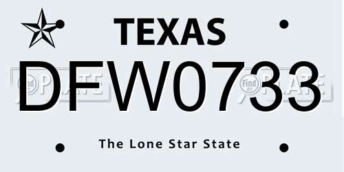 DFW0733 Texas License Plate