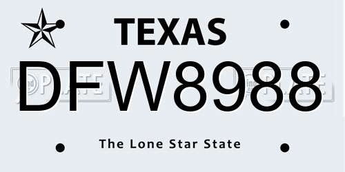 DFW8988 Texas License Plate