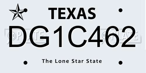 DG1C462 Texas License Plate