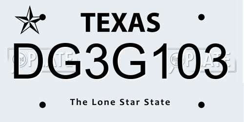 DG3G103 Texas License Plate