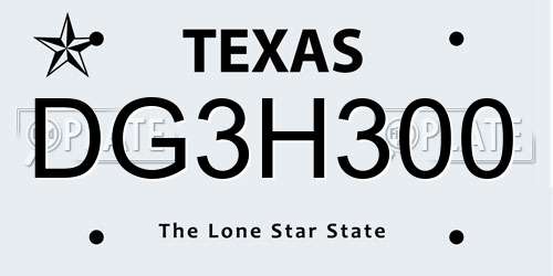 DG3H300 Texas License Plate