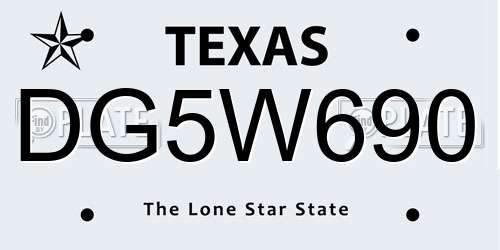 DG5W690 Texas License Plate