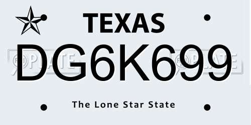 DG6K699 Texas License Plate