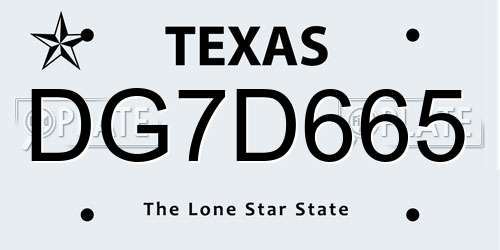 DG7D665 Texas License Plate