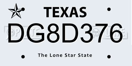 DG8D376 Texas License Plate