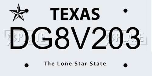 DG8V203 Texas License Plate