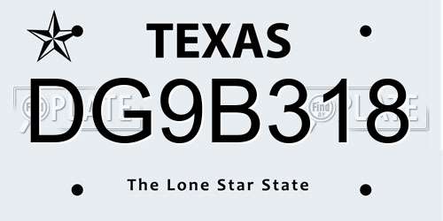 DG9B318 Texas License Plate