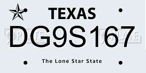 DG9S167 Texas License Plate