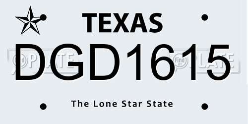 DGD1615 Texas License Plate