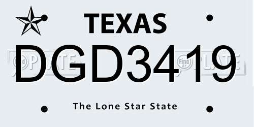 DGD3419 Texas License Plate