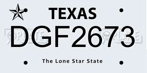 DGF2673 Texas License Plate