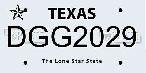 DGG2029 Texas License Plate