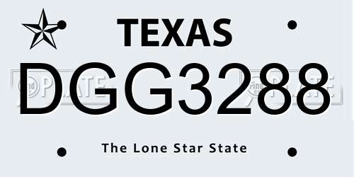 DGG3288 Texas License Plate