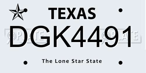 DGK4491 Texas License Plate