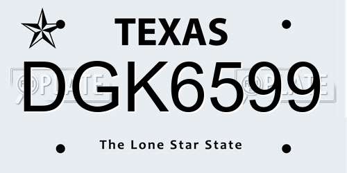DGK6599 Texas License Plate