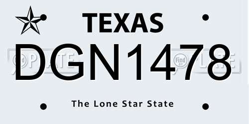 DGN1478 Texas License Plate
