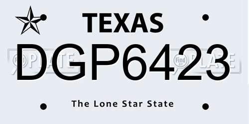 DGP6423 Texas License Plate