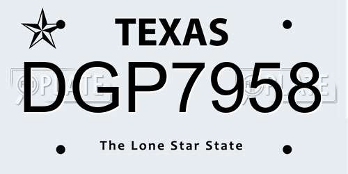 DGP7958 Texas License Plate
