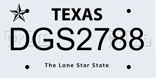 DGS2788 Texas License Plate